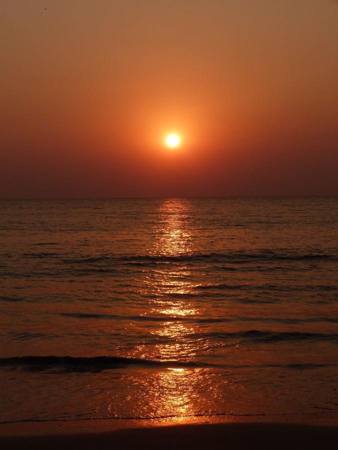 Sealand Beach Cottages Patnem Beach المظهر الخارجي الصورة